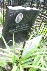 Шапиро Лейба Тейвелевич, Москва, Востряковское кладбище