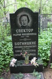 Спектор Мария Михайловна, Москва, Востряковское кладбище