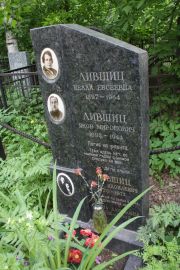 Лившиц Белла Евсеевна, Москва, Востряковское кладбище
