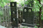 Левин Моисей Григорьевич, Москва, Востряковское кладбище