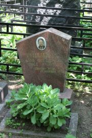 Гинзбург Иосиф , Москва, Востряковское кладбище