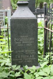 Гершман Зельман Григорьевич, Москва, Востряковское кладбище