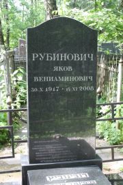 Рубинович Яков Вениаминович, Москва, Востряковское кладбище
