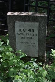 Шапиро Марина Борисовна, Москва, Востряковское кладбище