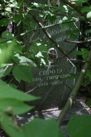 Сирота Дора Гиршевна, Москва, Востряковское кладбище