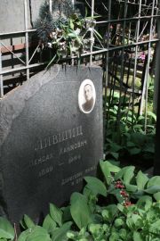 Лившиц Пейсах Хаимович, Москва, Востряковское кладбище
