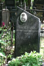 Аксельрод Иосиф Виниаминович, Москва, Востряковское кладбище