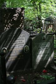 Брук Дина Михайловна, Москва, Востряковское кладбище