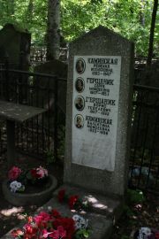 Каминская Ревекка Иосифовна, Москва, Востряковское кладбище