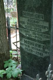 Маневич Иосиф Лев-Мордухович, Москва, Востряковское кладбище