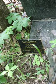 Маневич Арон Львович, Москва, Востряковское кладбище
