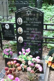 Шмуц Андрей Ахилович, Москва, Востряковское кладбище