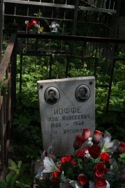 Иоффе Яков Моисеевич, Москва, Востряковское кладбище
