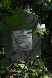 Шапиро Самуил Абрамович, Москва, Востряковское кладбище