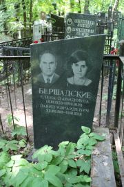 Бершадский Давид Израилевич, Москва, Востряковское кладбище