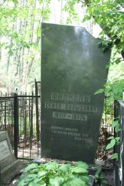 Финкель Семен Давыдович, Москва, Востряковское кладбище