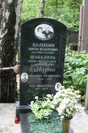 Цалихин Абрам Федорович, Москва, Востряковское кладбище
