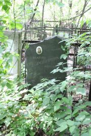 Левина  , Москва, Востряковское кладбище