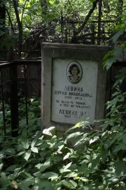 Левина София Николаевна, Москва, Востряковское кладбище