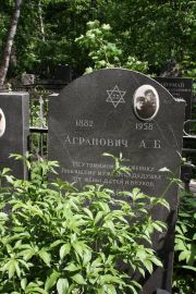 Агранович А. Б., Москва, Востряковское кладбище