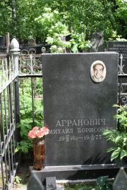 Агранович Михаил Борисович, Москва, Востряковское кладбище