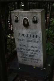 Дрозина Сарра Абрамовна, Москва, Востряковское кладбище