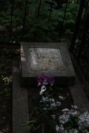 Гольдштерн Самуил Михайлович, Москва, Востряковское кладбище