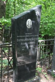 Варшавский-Карлин Илья Львович, Москва, Востряковское кладбище