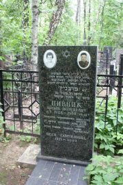 Пивник Шоэль Моисеевич, Москва, Востряковское кладбище