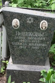 Новиков Давид Наумович, Москва, Востряковское кладбище