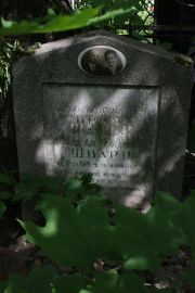 Шварц Александр Израилевич, Москва, Востряковское кладбище
