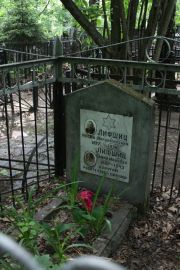 Лифшиц Иосиф Владимирович, Москва, Востряковское кладбище