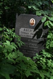 Абезгауз Софья Львовна, Москва, Востряковское кладбище