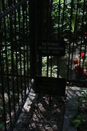 Копанис Исаак Абрамович, Москва, Востряковское кладбище