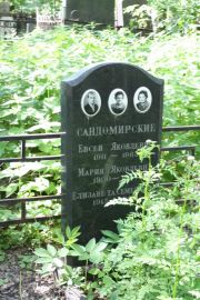 Садомирский Моисей Яковлевич, Москва, Востряковское кладбище