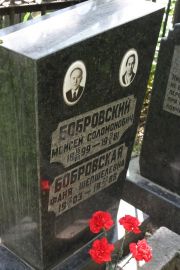 Боровская Фаня Шепшелевна, Москва, Востряковское кладбище