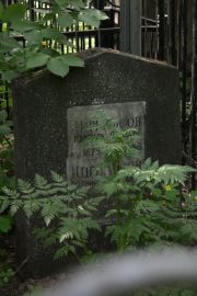 Цирильсон Израиль , Москва, Востряковское кладбище