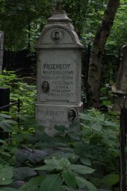Розенберг Моня Давыдович, Москва, Востряковское кладбище