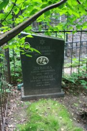 Левин Абрам Абрамович, Москва, Востряковское кладбище
