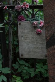 Дворкина Нехама Хаимовна, Москва, Востряковское кладбище