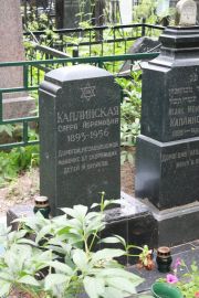 Каплинская Сарра Абрамовна, Москва, Востряковское кладбище