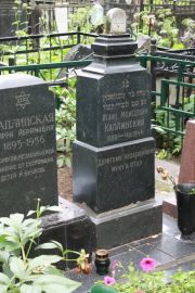 Каплинский Исаак Моисеевич, Москва, Востряковское кладбище