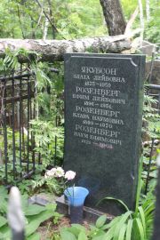 Розенберг Наум Ефимович, Москва, Востряковское кладбище