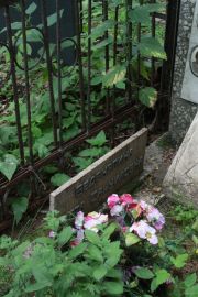 Веденяпина Берта Самуиловна, Москва, Востряковское кладбище