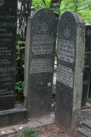 Шапировский Хайкель Соломонович, Москва, Востряковское кладбище
