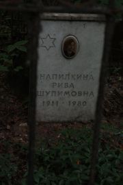 Напилкина Рива Шулимовна, Москва, Востряковское кладбище