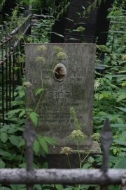 Брун Черня Хаскелевна, Москва, Востряковское кладбище