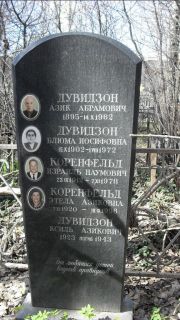 Коренфельд Израиль Наумович, Москва, Востряковское кладбище