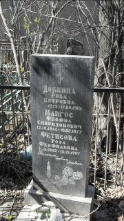 Добкина Рива Петровна, Москва, Востряковское кладбище