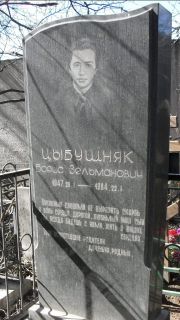 Цыбушняк Борис Зельманович, Москва, Востряковское кладбище